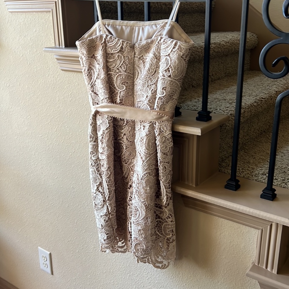 Gorgeous cream lace Adrianna Papell dress - Picture 2 of 4